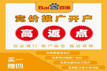 XX行业竞价广告的投放策略与效果分析